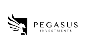 Pegasus Investment Group